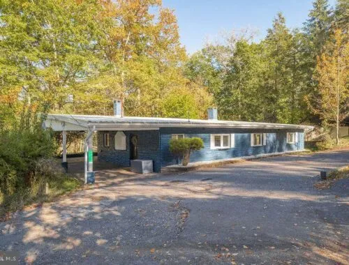 1321 Marsh Hill Road MC HENRY, MD 21541